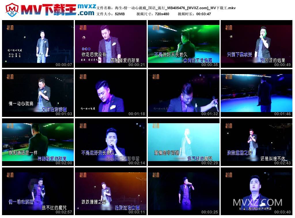 海生-情一动心就痛_国语_流行_MB405476